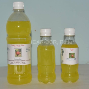 Bio-fortified cashew apple juice